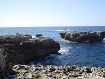 �O�̂Ƃ���Ƃ͈���Ă����̊C�͔Z����